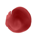 Labial Larga Duración Superstay 24 H 5 Everlasting Wine