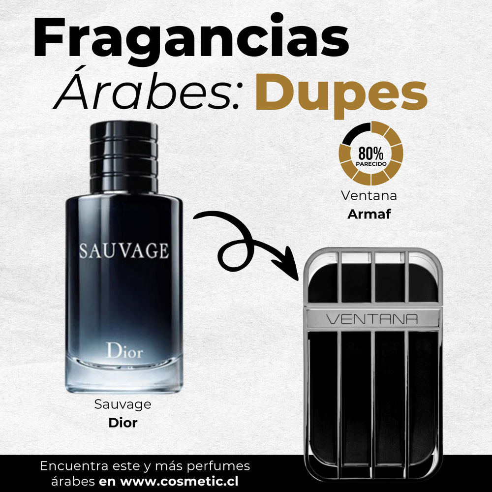 Armaf Sauvage Dior Sauvage Parfum For Men – Perfume Gallery