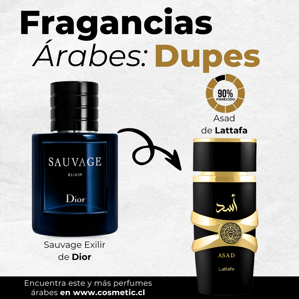 Perfume ASAD de Lattafa EDP 100 ML – Cosmetic