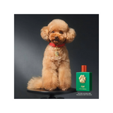 Perfume Fefé para Perros Libre de Alcohol 100 ml Dolce & Gabbana