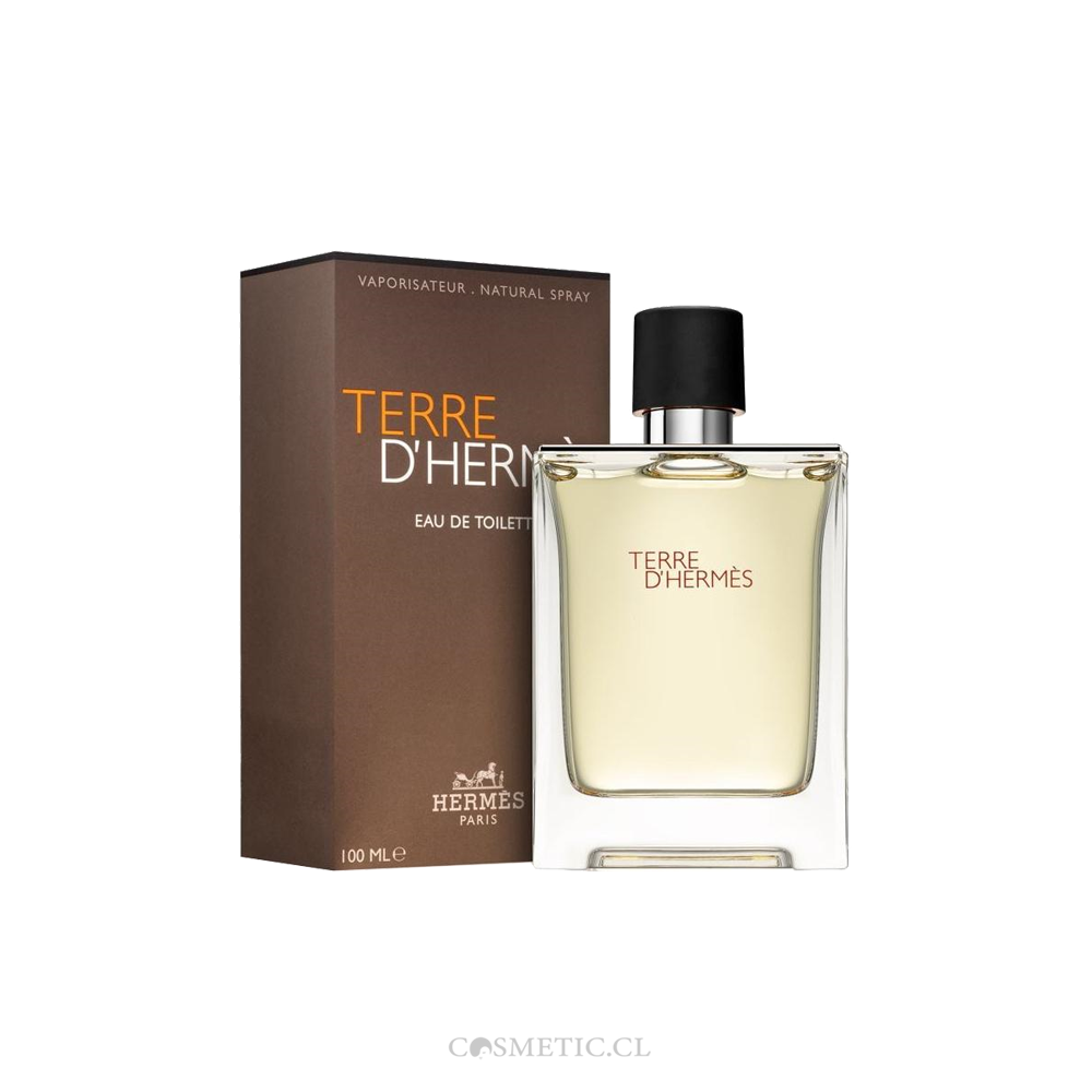 Terre DHermes EDT Hombre 100ML – Cosmetic